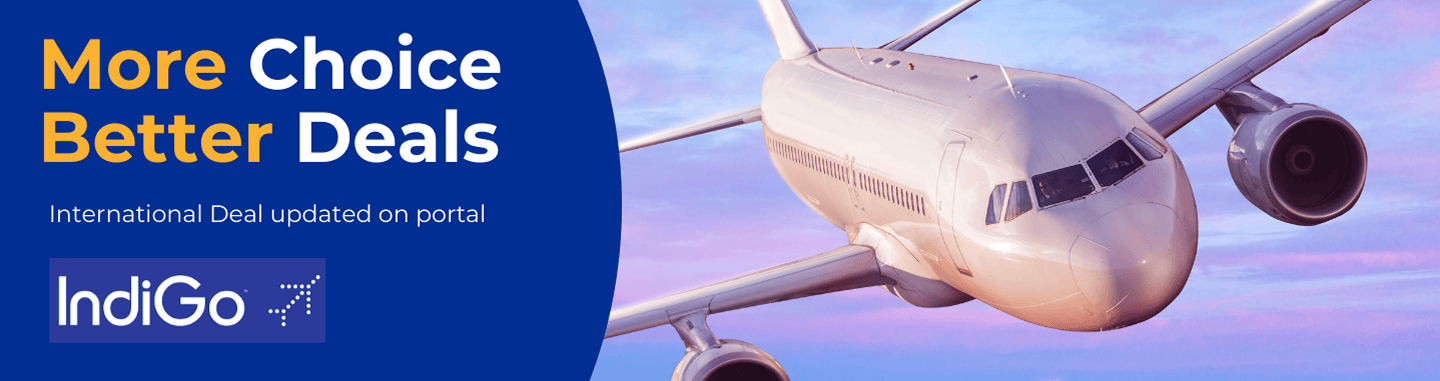 Custom Travel Portal Software for Online Booking Solutions